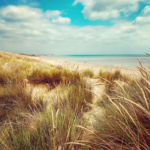 Ein Strand mit Dünen und blauem Himmel.