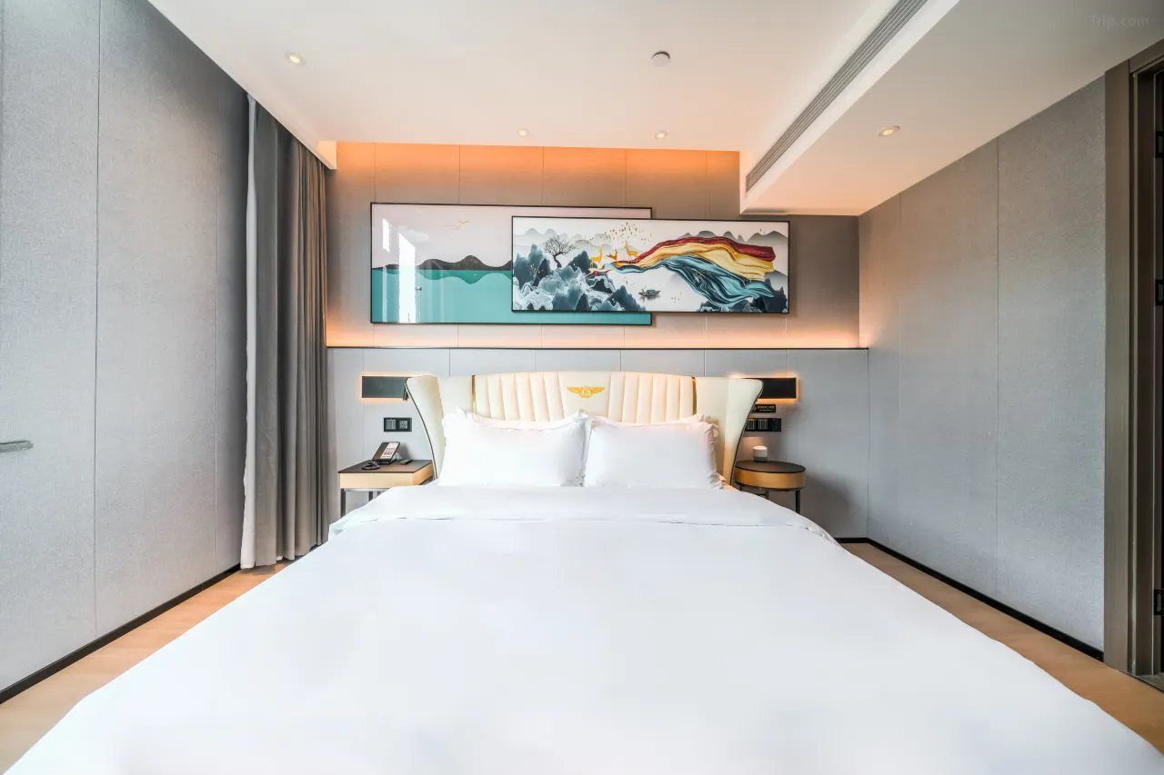 A modern hotel room with a large bed, a headboard with a decorative panel, a bedside table with a lamp, and a wall-mounted artwork above the bed.