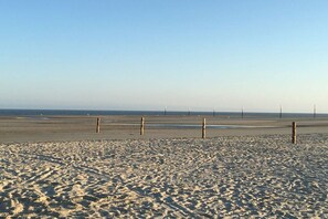 Ein Sandstrand mit Holzpfählen und wolkenlosem Himmel.