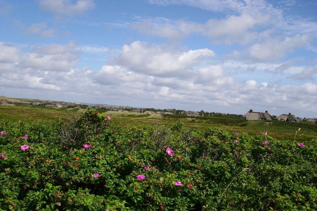 A rural landscape with rolling hills, a clear sky, and traditional thatched-roof houses.