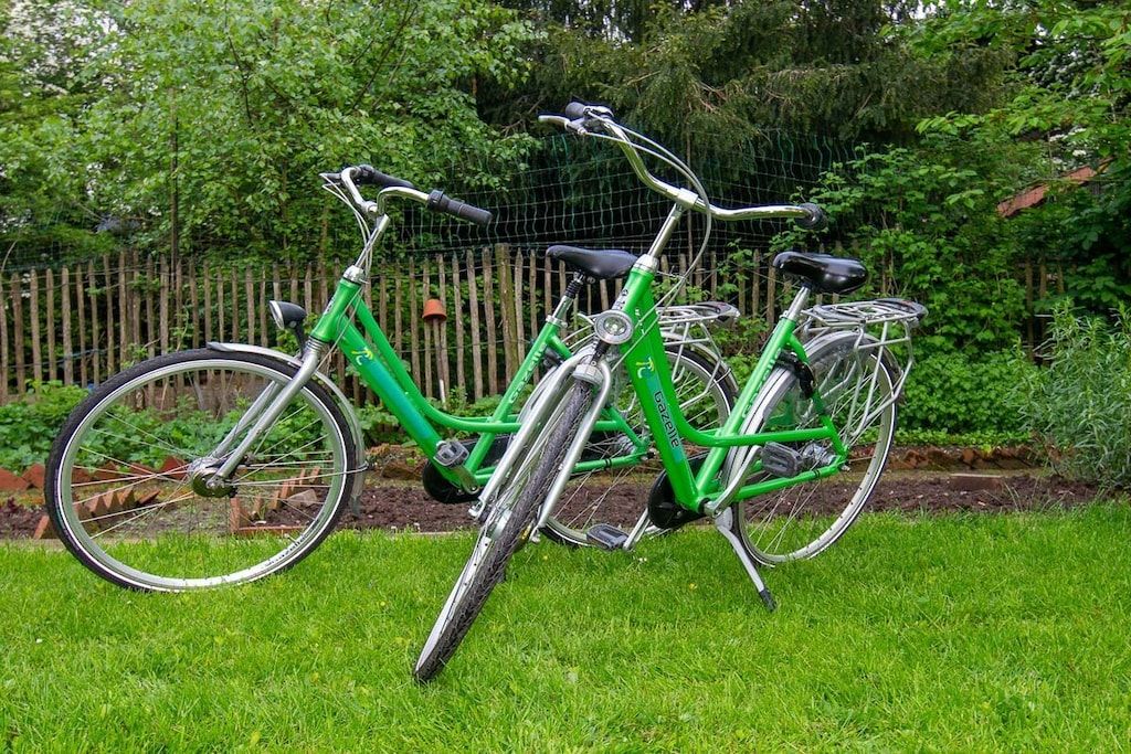 A green bicycle with a basket and a rear rack, parked on a grassy lawn.