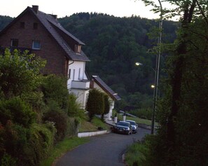 A residential street with houses, parked cars, and a streetlight. - Apartment Eifelgluck With Roof Terrace (Pelm)