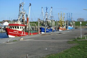 Ein Hafen mit mehreren Fischerbooten, die an der Kaimauer festgemacht sind.