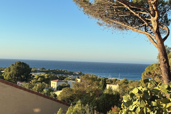 Vue depuis l’hébergement
