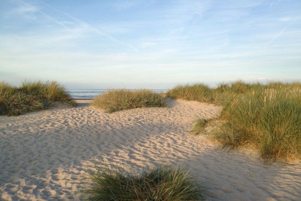 A sandy beach path with dunes and a clear sky.