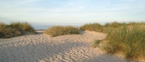 Un sentier de plage sablonneux, bordé de dunes, et un ciel dégagé.