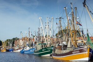 Un port où sont amarrés de nombreux bateaux de pêche.