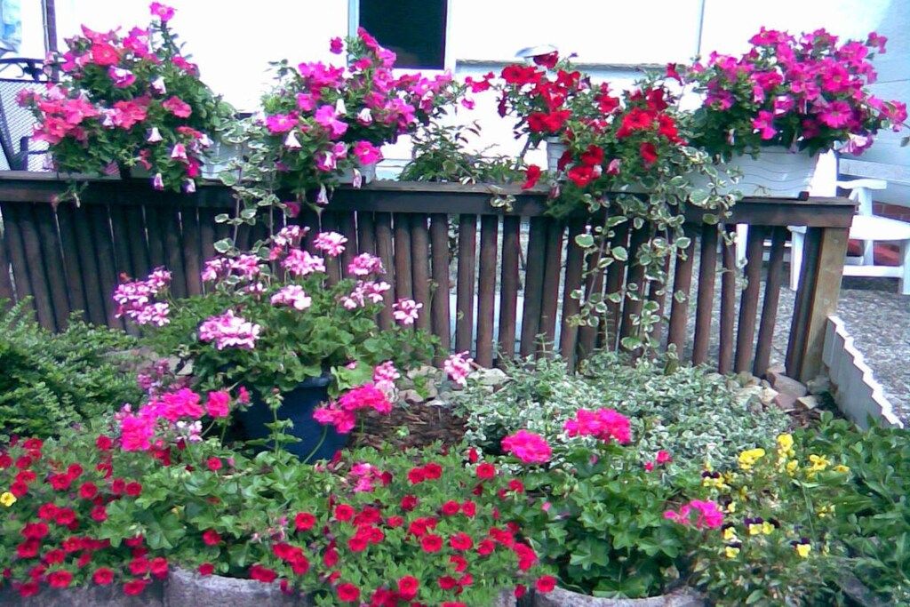 En have med forskellige blomstrende planter og et træhegn.