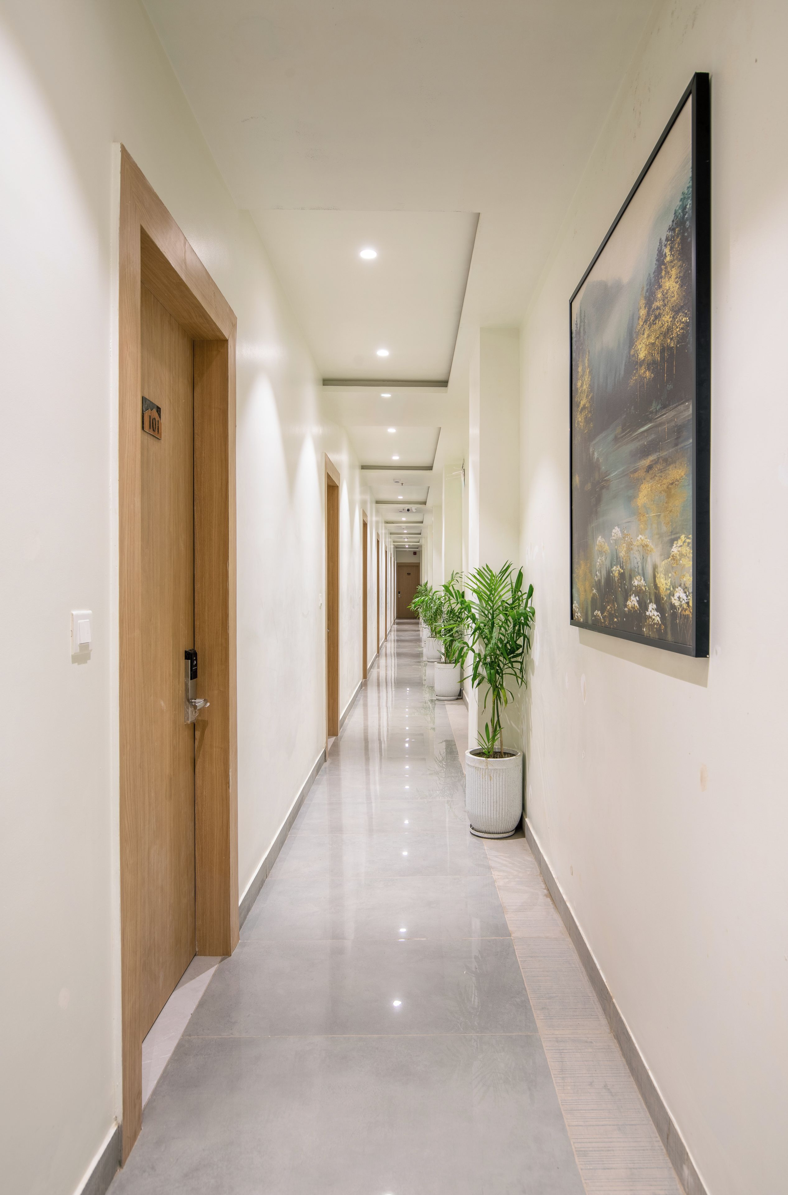 Un pasillo largo y bien iluminado con puertas de madera, plantas en macetas y un cuadro grande en la pared.