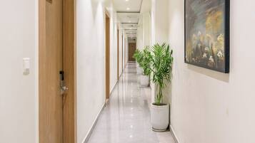 Un pasillo largo y bien iluminado con puertas de madera, plantas en macetas y un cuadro grande en la pared.
