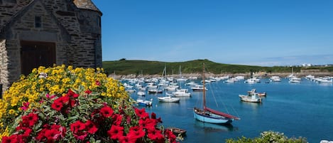 A stone building with a tower, a harbor with numerous boats, and a foreground of vibrant red and yellow flowers.