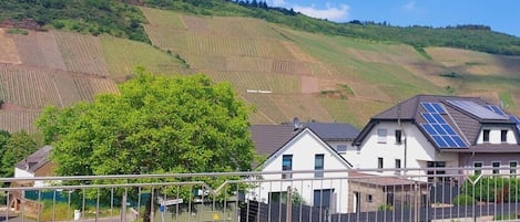 Un quartier résidentiel avec des maisons, des panneaux solaires et des champs en terrasses.