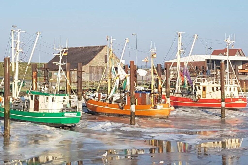 A harbor with several fishing boats docked, wooden buildings, and a clear sky.