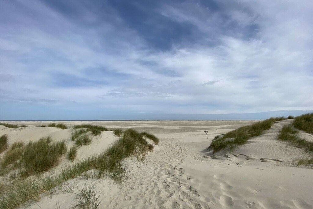 A sandy beach with dunes and a clear sky.