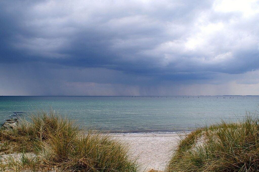 A beach with a clear path leading to the water, surrounded by grass.