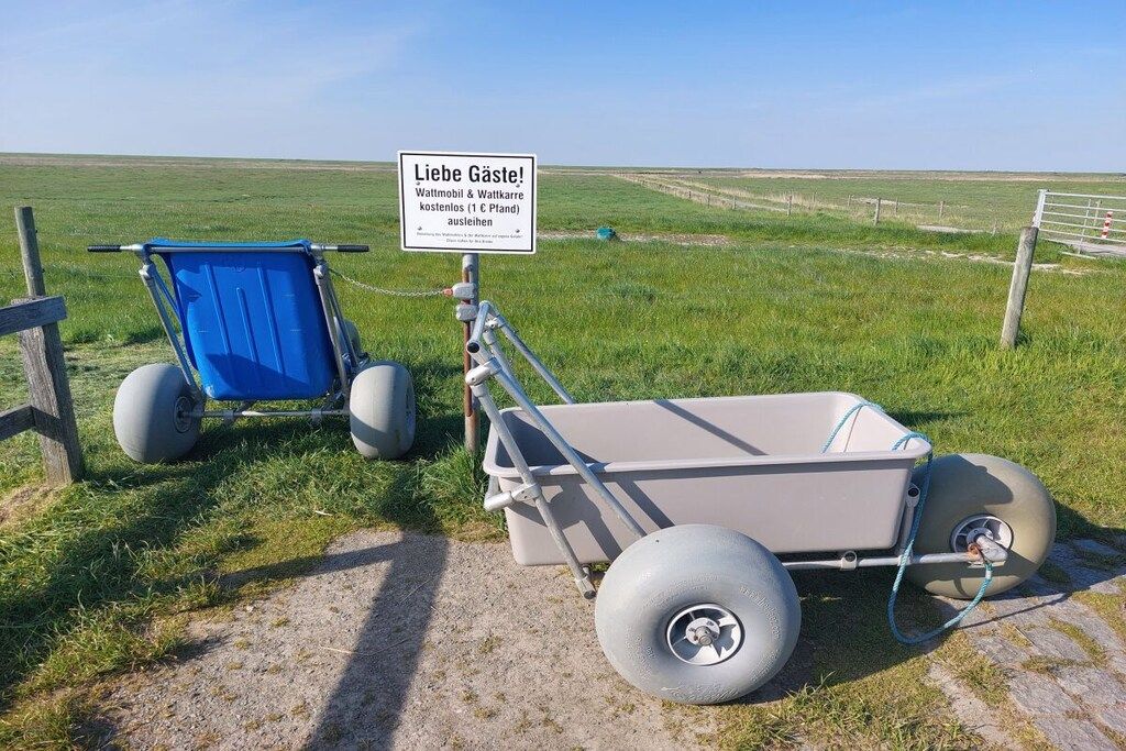 A wheelbarrow and a blue chair in a grassy field with a sign in the background.