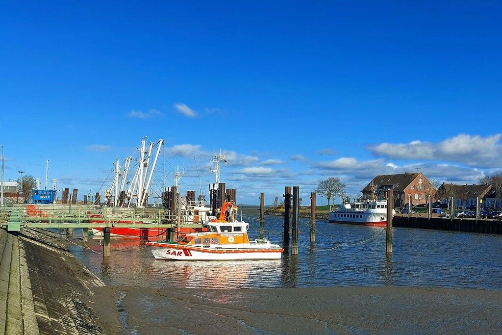 A harbor with boats docked, a wooden pier, and houses in the background.