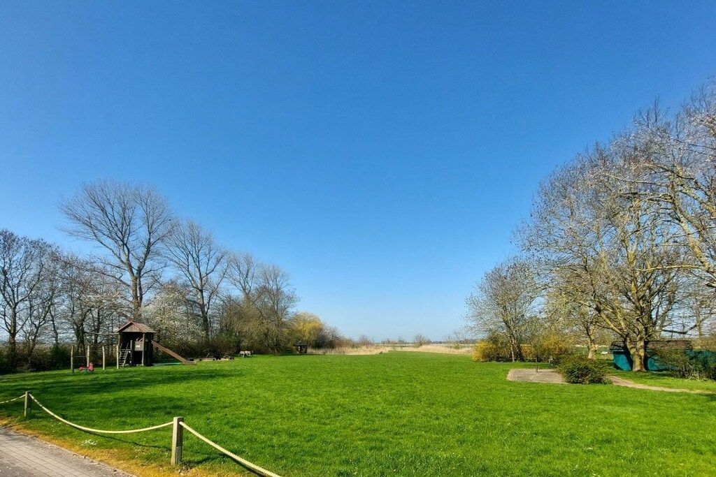 A grassy field with a small building and trees.