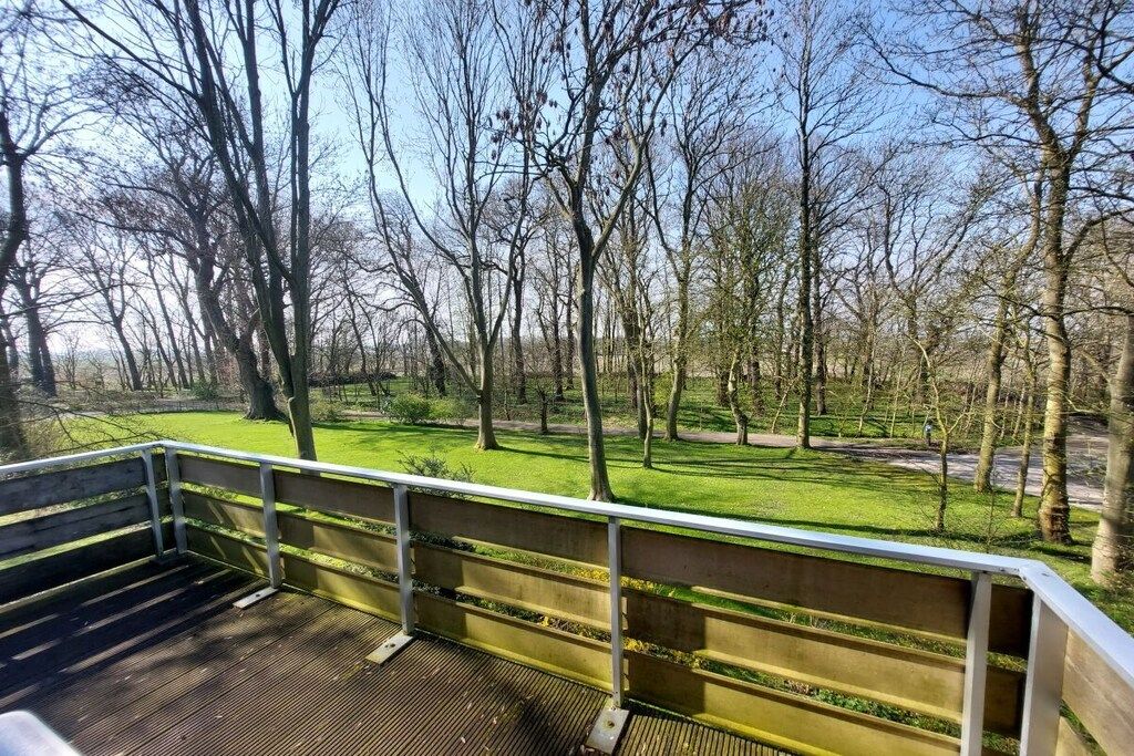 Una terraza de madera con barandas metálicas que da a un parque con árboles y zonas verdes.