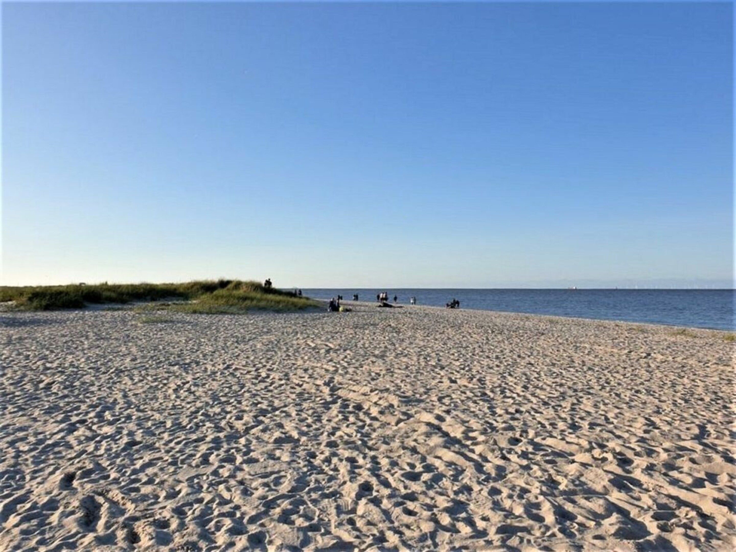 Una spiaggia sabbiosa con dune e cielo sereno.