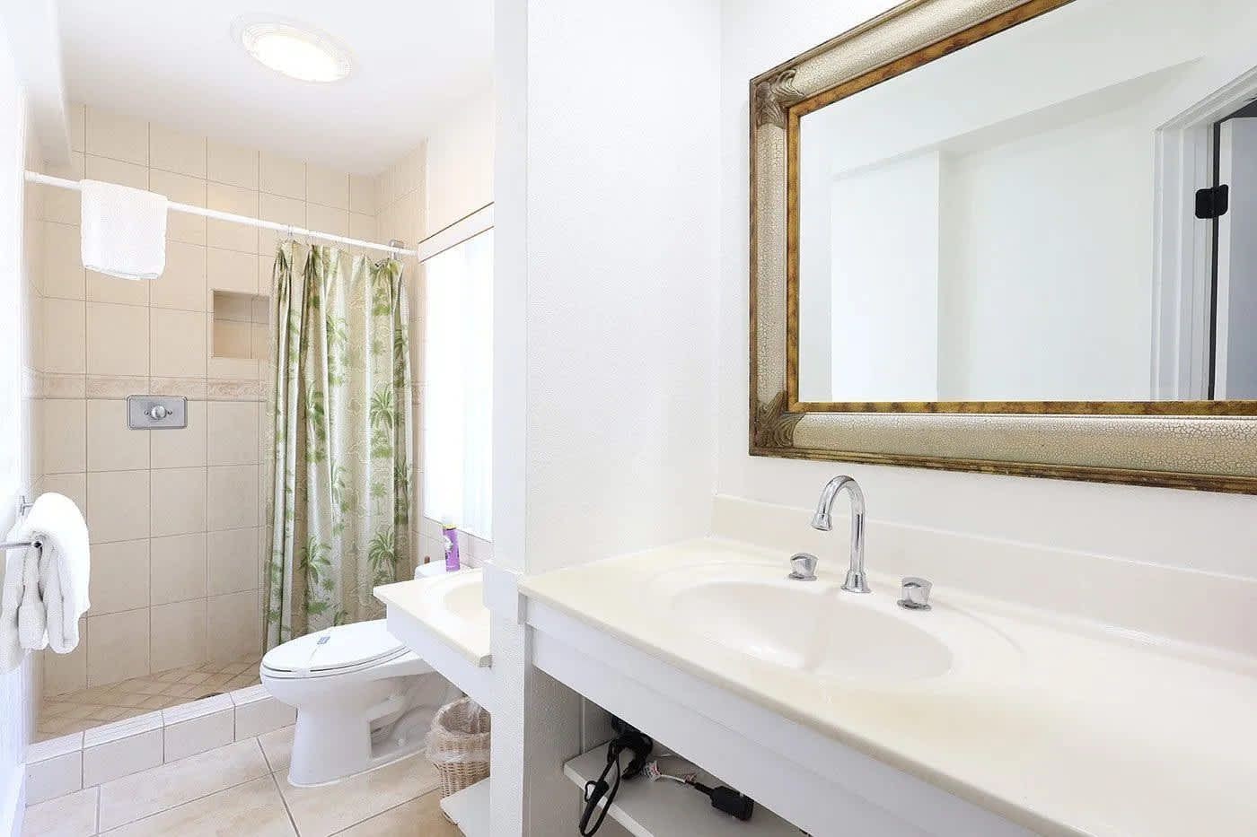 A bathroom with a shower, toilet, sink, and a mirror with a gold frame.