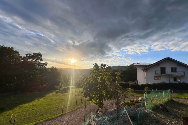 IMG 8679