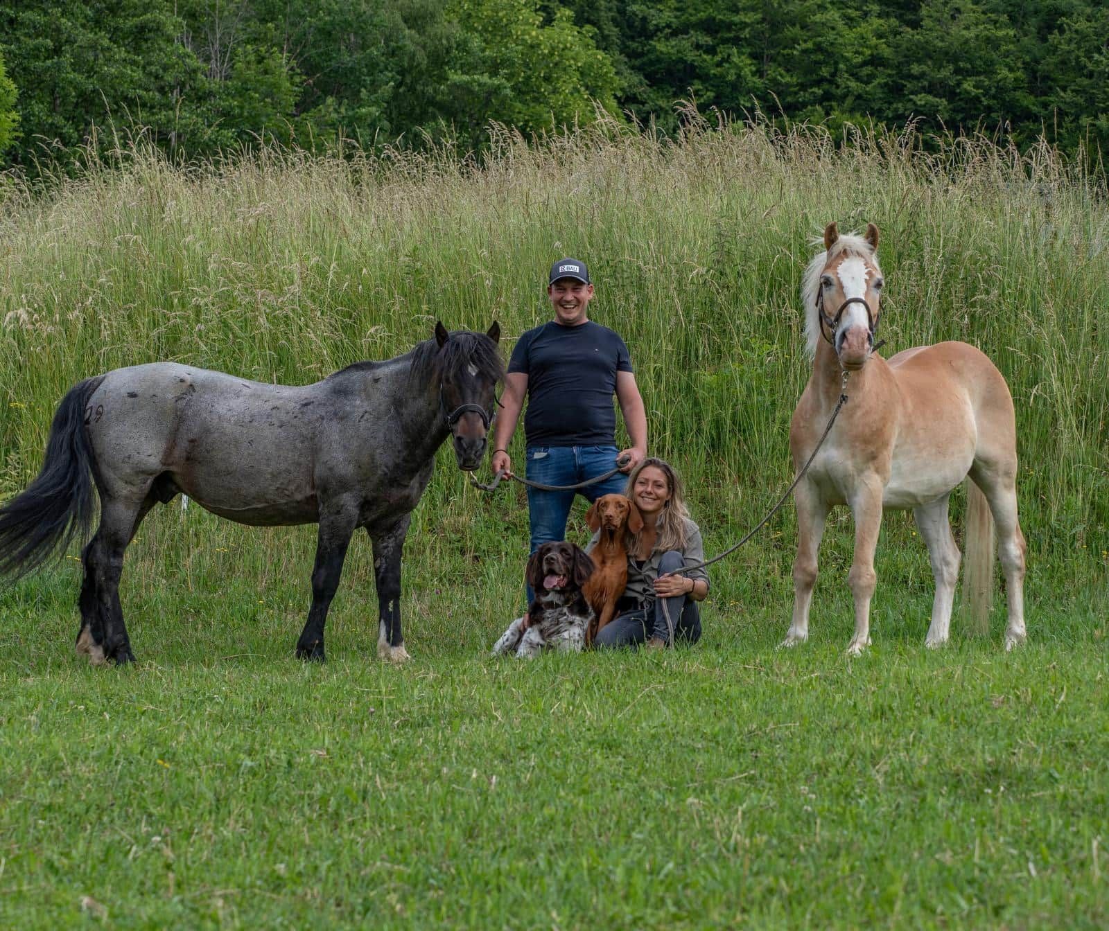 A grassy field with two horses and a person standing in the center.
