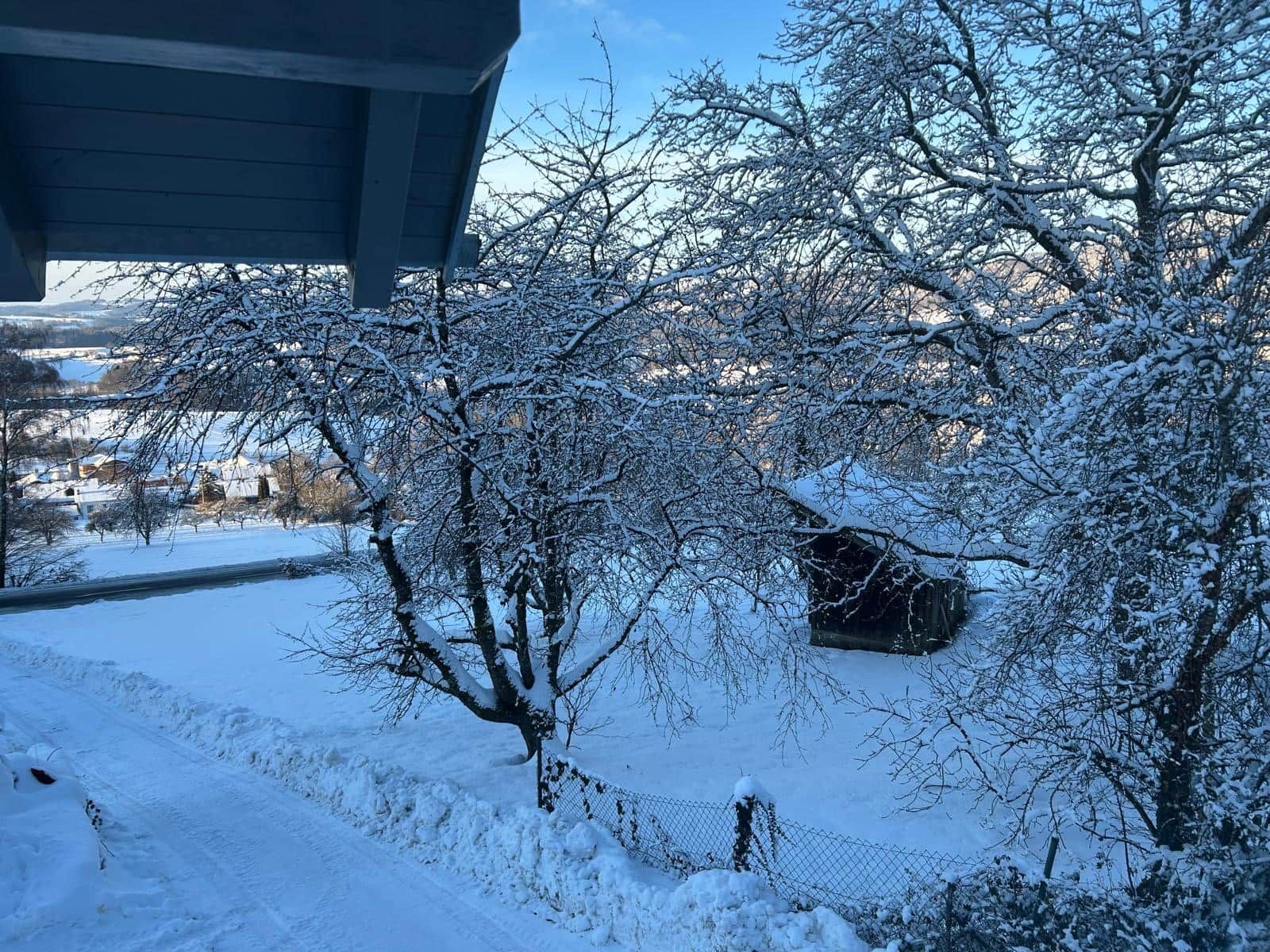 Un paysage enneigé avec une maison et des arbres.