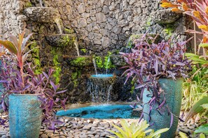 A garden with a small pond, a stone wall, and various plants. - Ocean-view 2BR/2BA Kihei condo with pool, AC, and beach access. (Kihei)