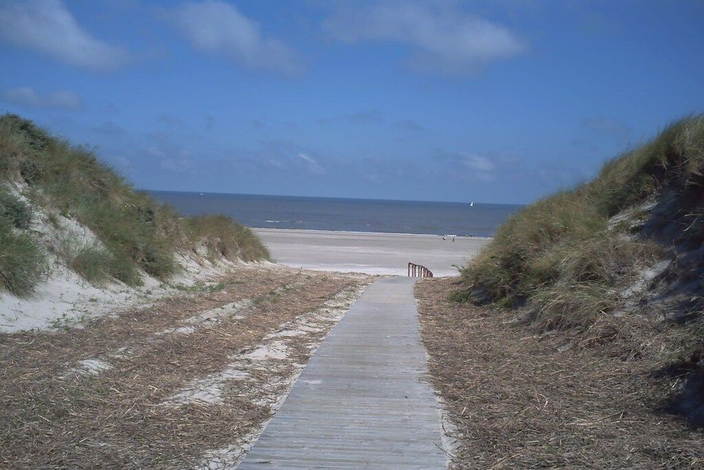 A pathway leading to a beach with dunes on either side.