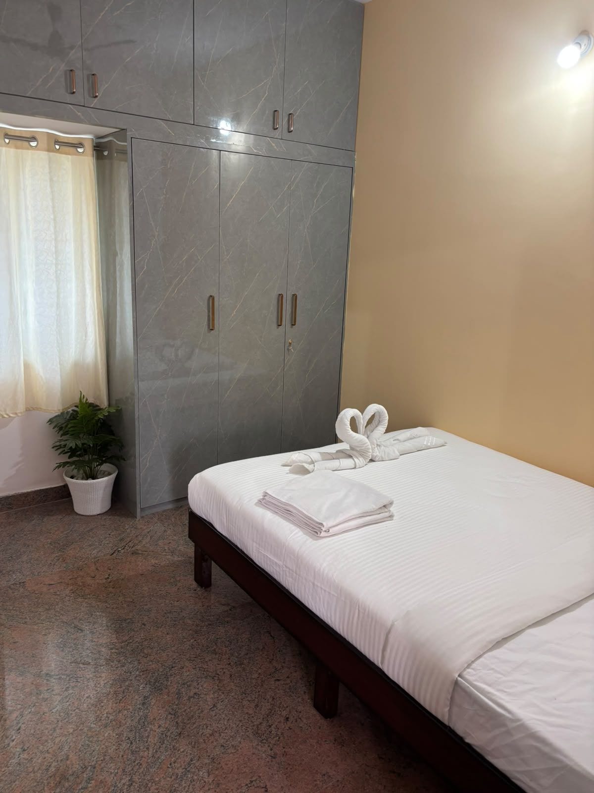 Una habitación de hotel con una cama, un armario, una planta en maceta y una cortina.