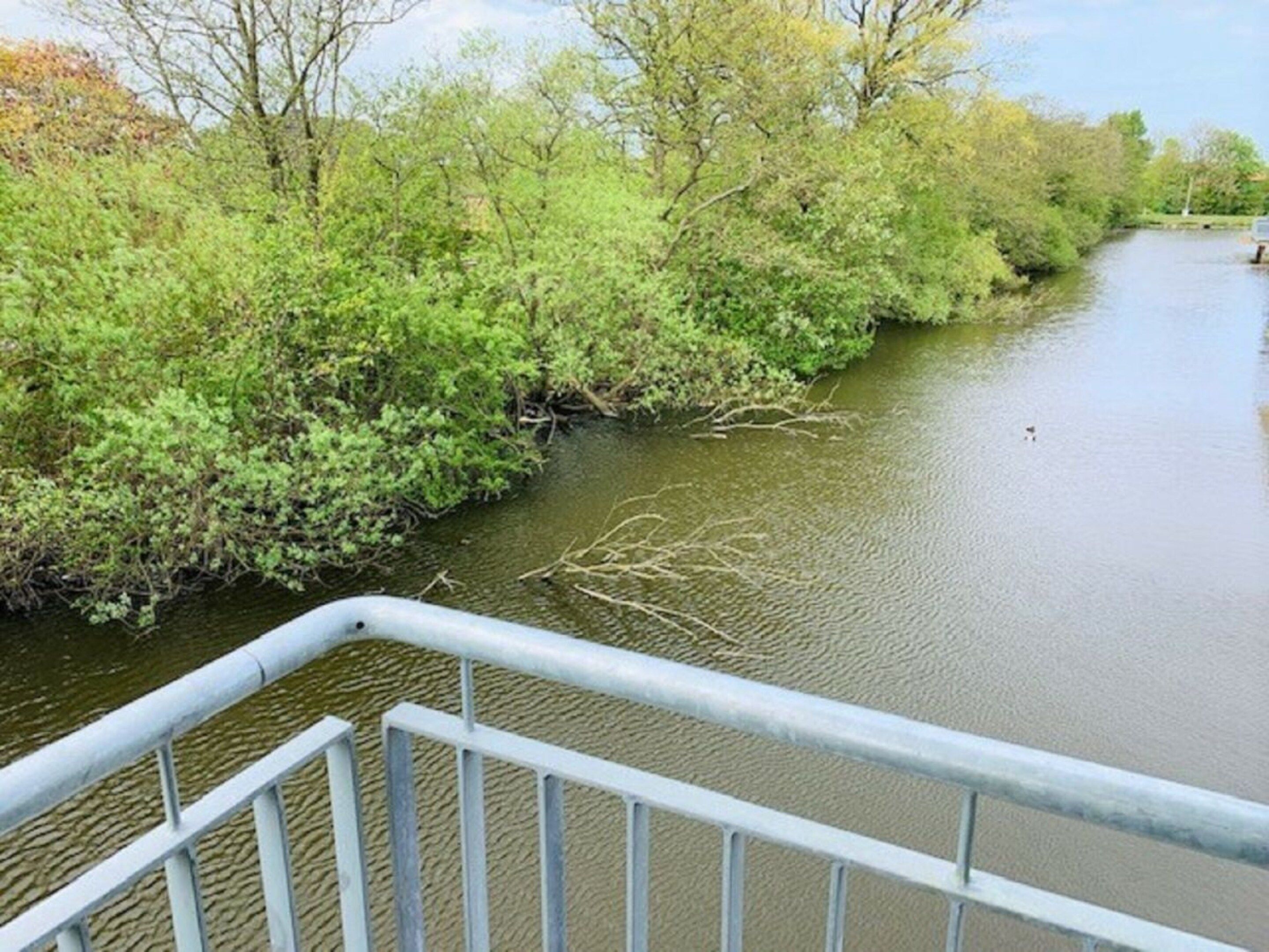 Orilla de río con vegetación densa y una barandilla de metal.