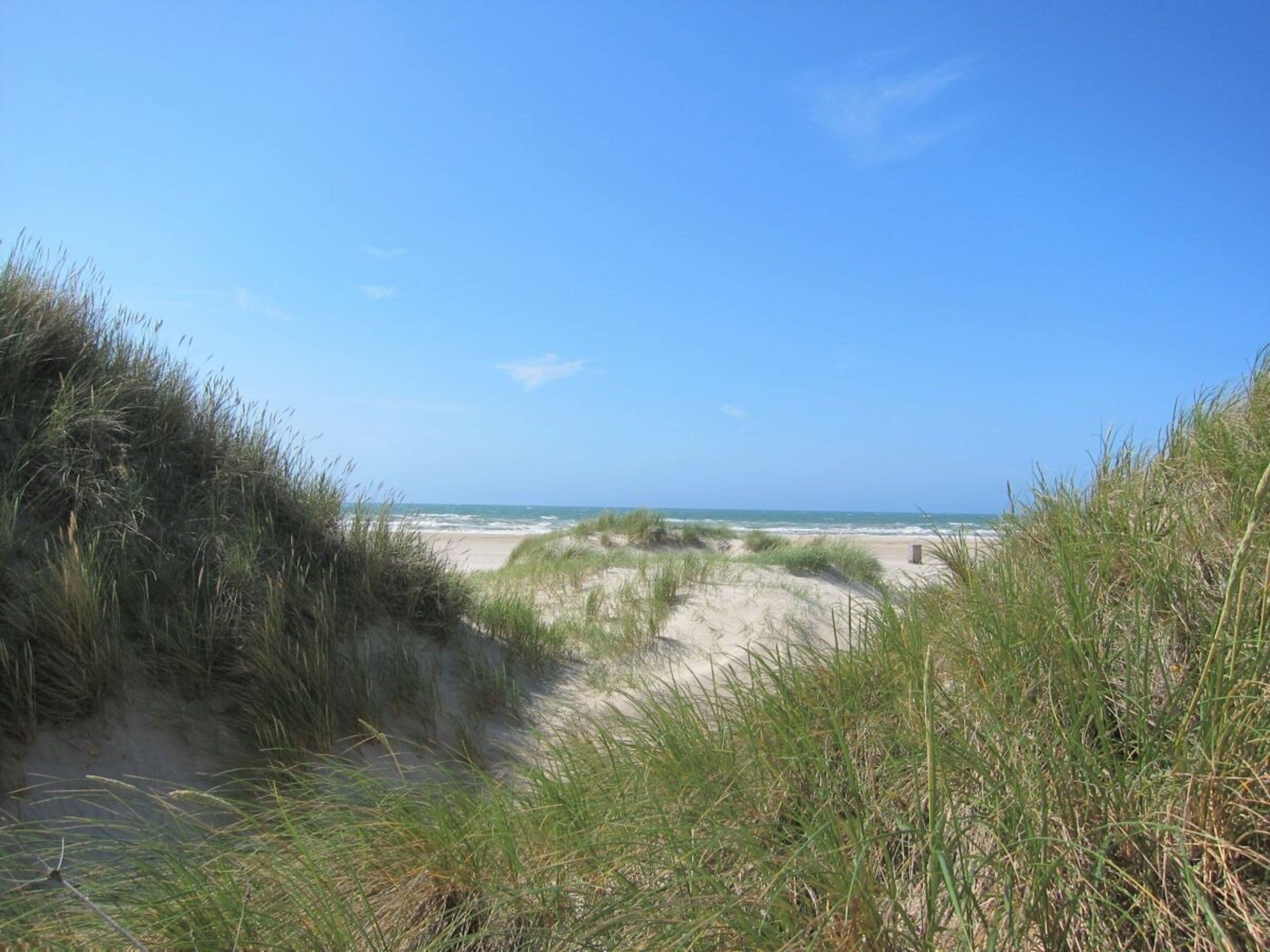 A beach with dunes and a clear sky.
