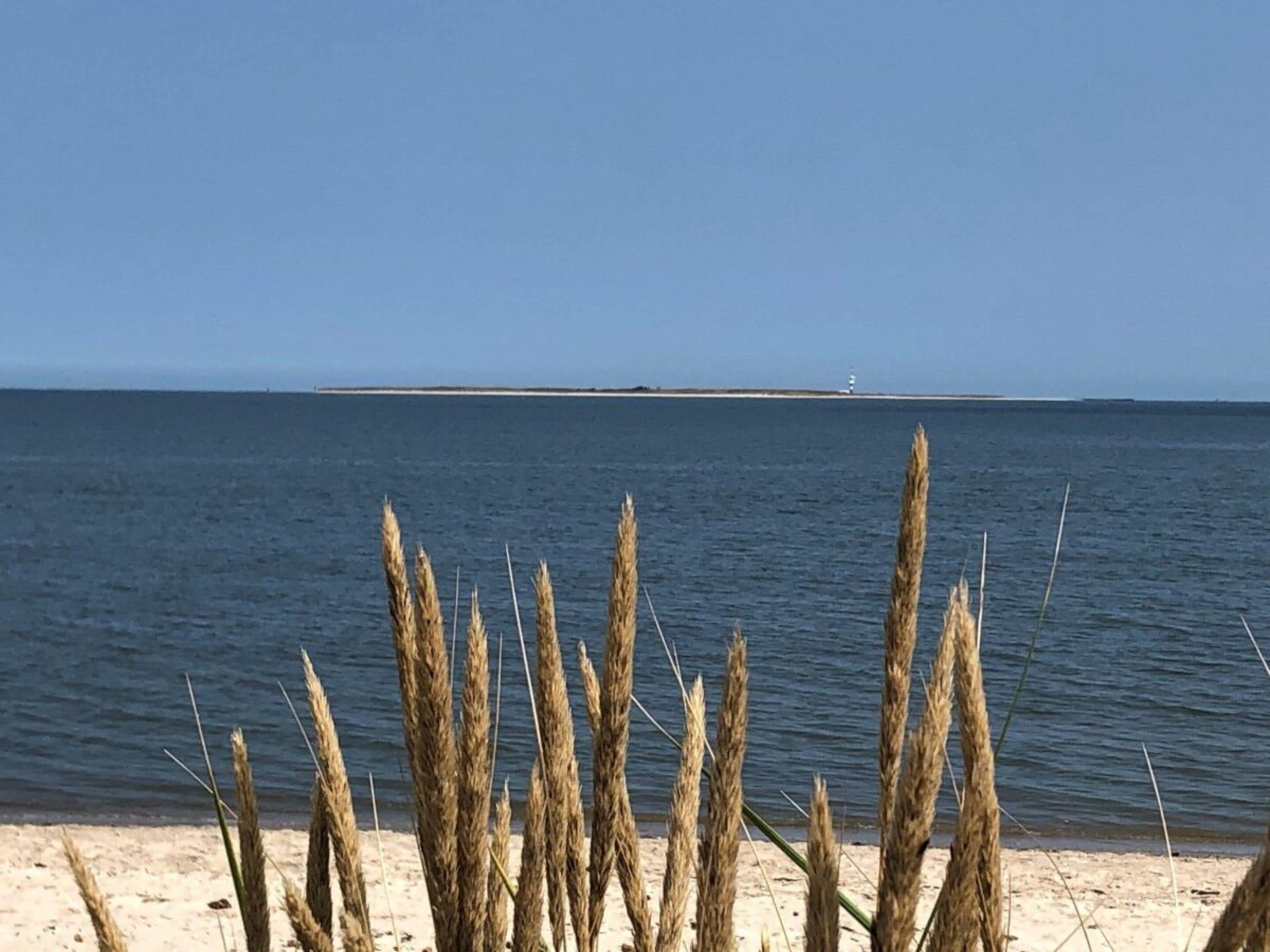 Pantai
