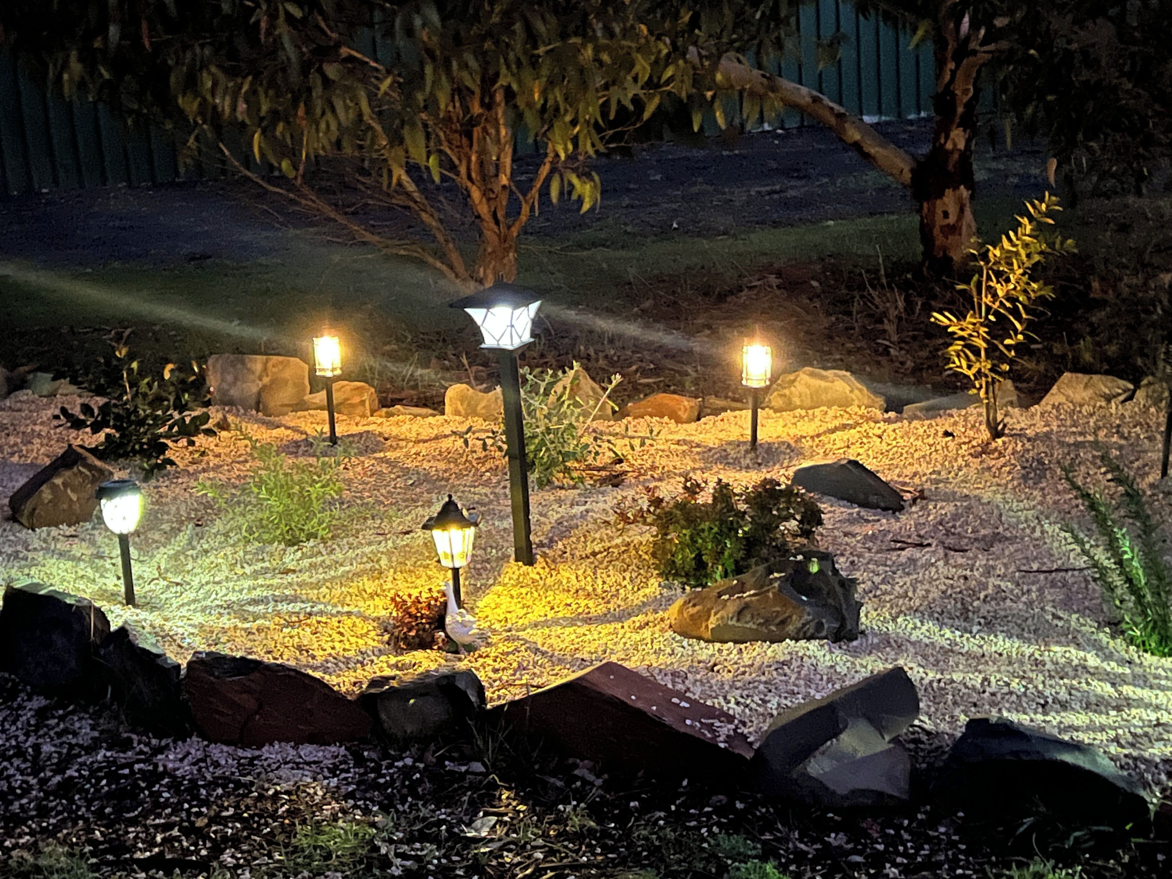 A garden with illuminated lanterns, rocks, and a tree.