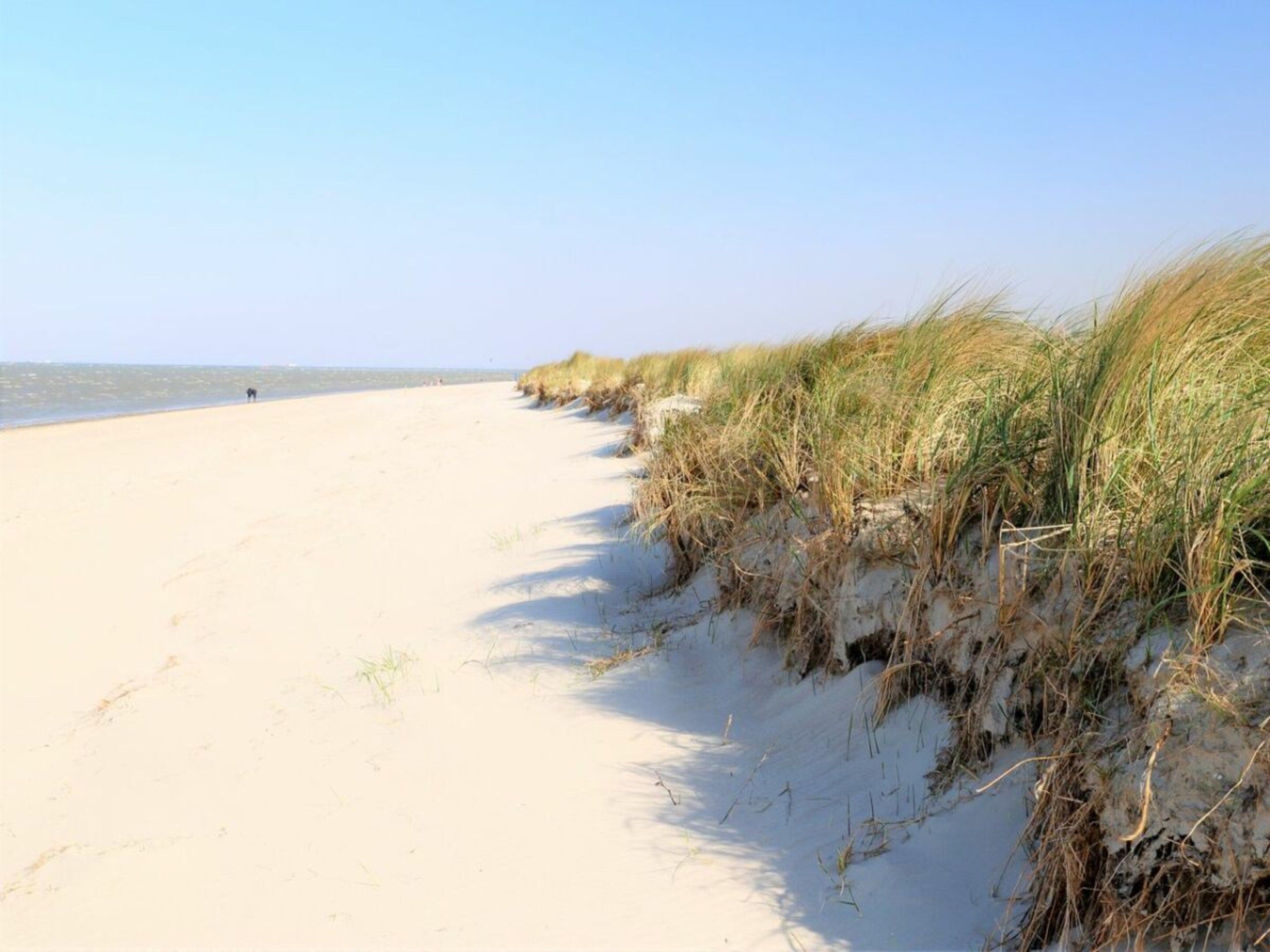 Una spiaggia sabbiosa con dune e cielo sereno.