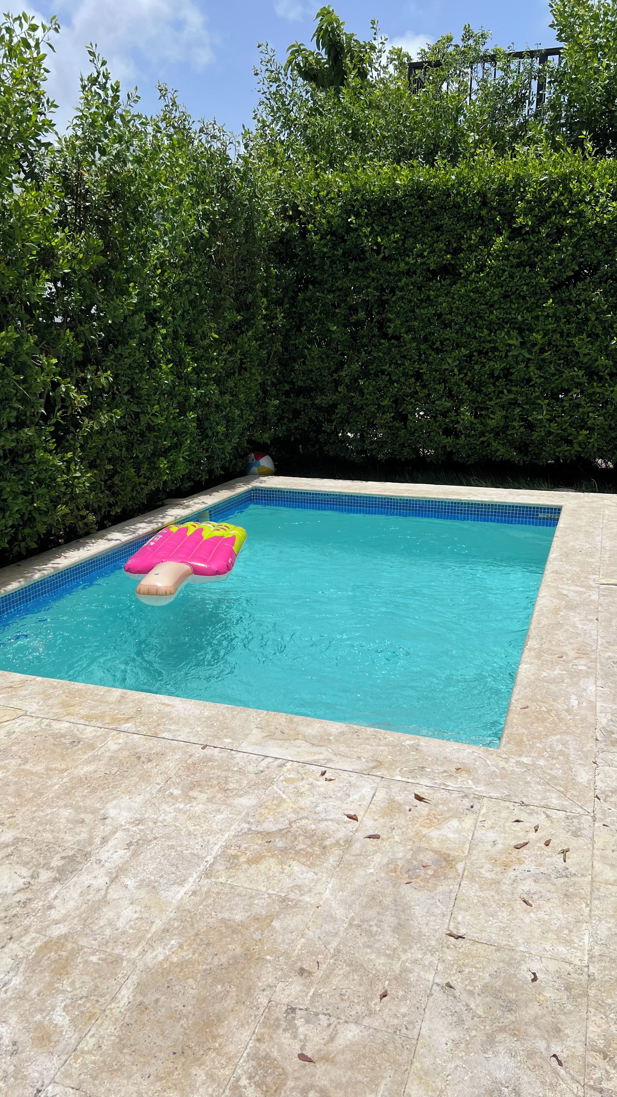 Una piscina con borde de azulejos, rodeada por un seto.
