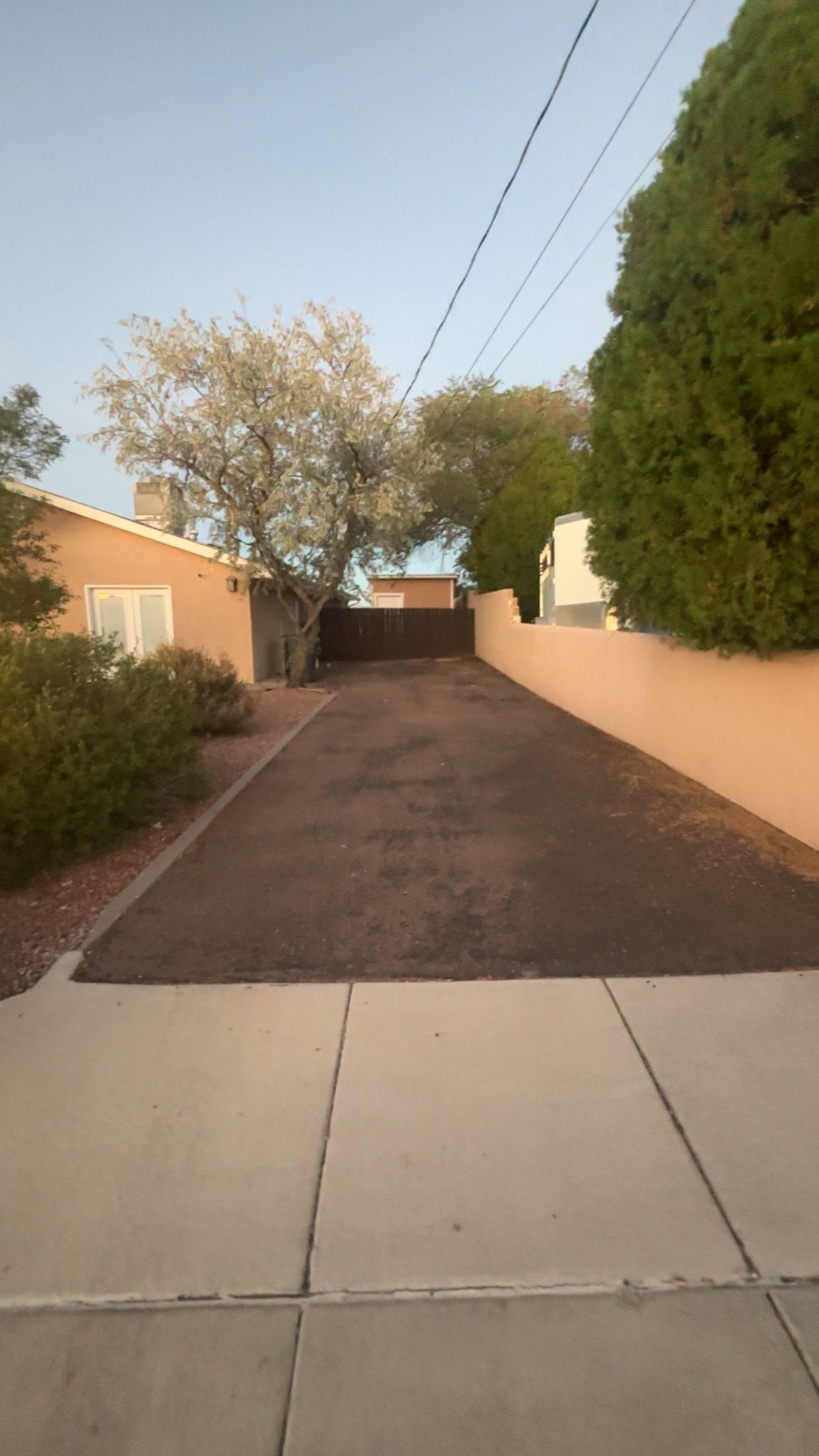 A residential driveway leading to a house with a tree and a fence.