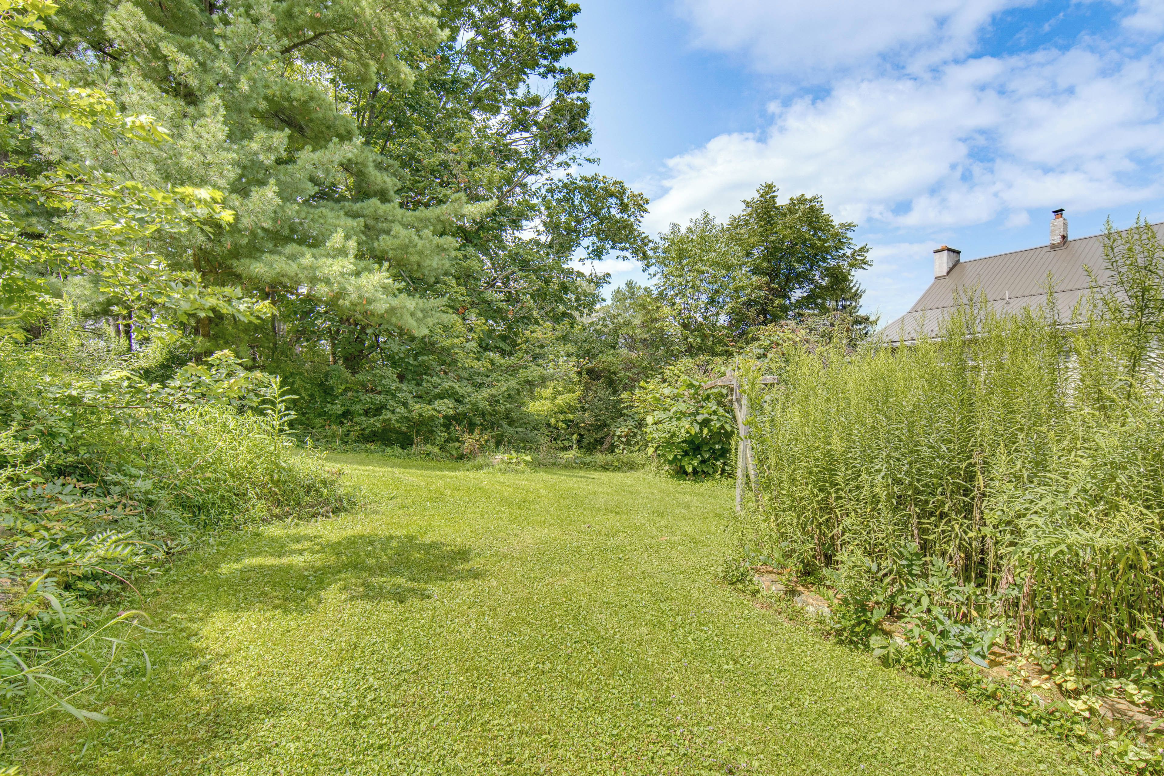 A grassy yard with a variety of trees and shrubs, a wooden fence, and a building with a sloped roof.