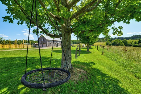A tree with a swing hanging from its branches, a grassy field, and a building in the background.