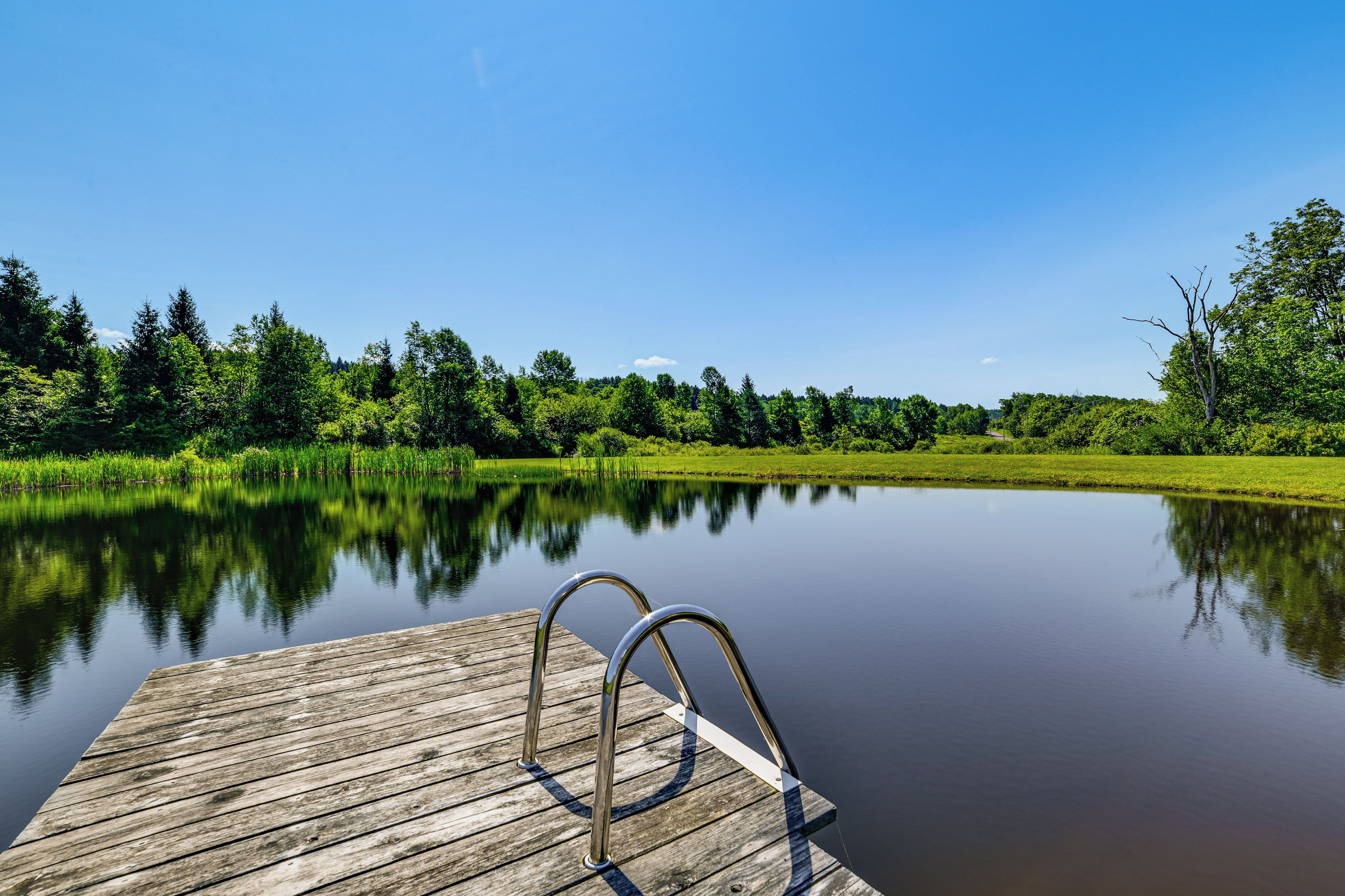 A wooden dock extending into a calm lake with lush greenery and trees in the background.