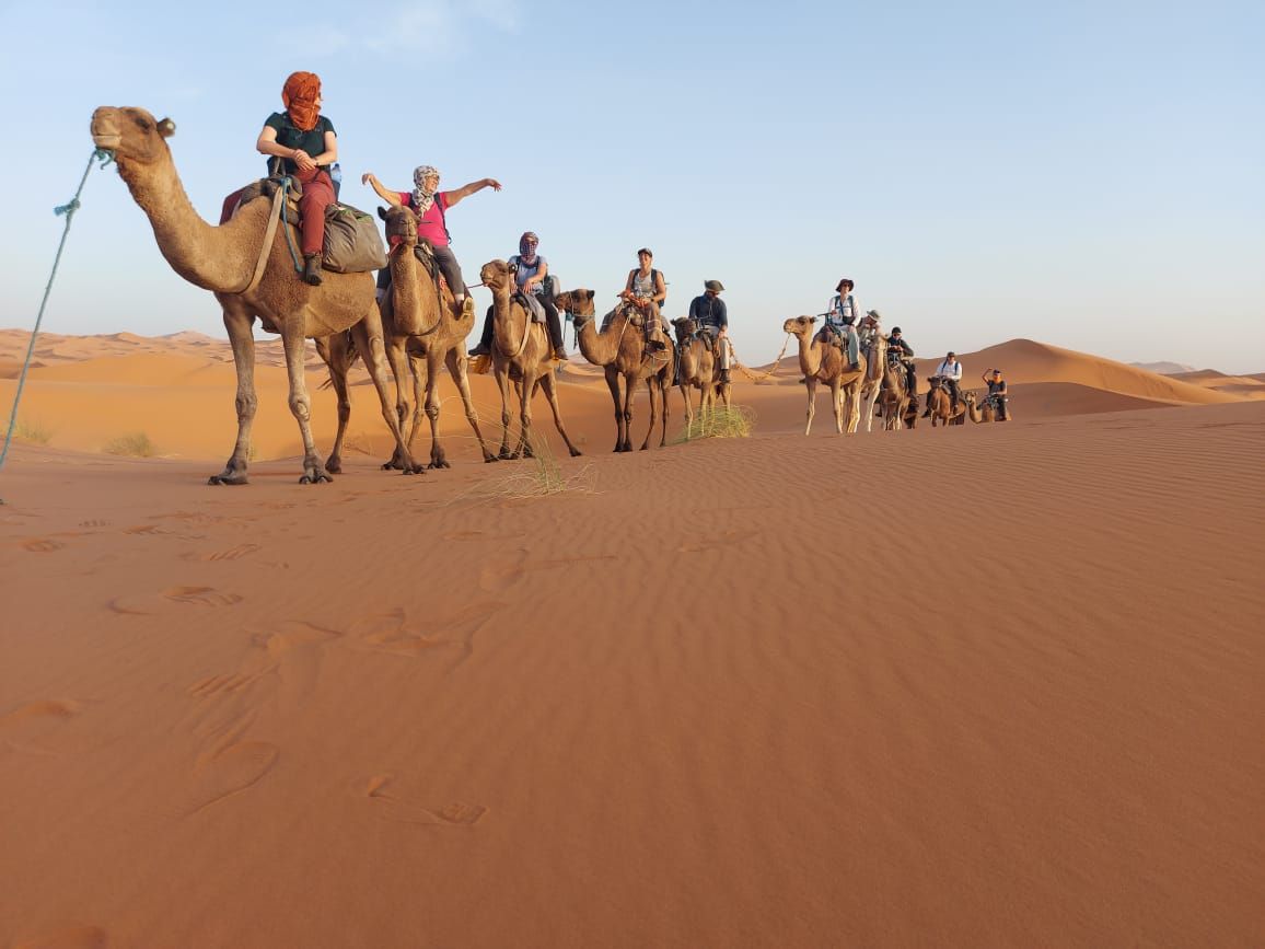 Un grupo de personas cabalgando camellos a través de un paisaje desértico.