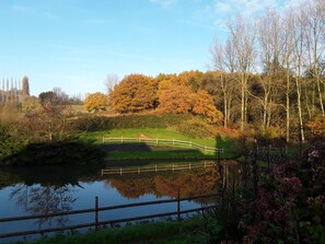 A serene landscape with a pond, a wooden bridge, and autumn-colored trees. - Spacious house, preserved nature - Total serenity (CASSEL)