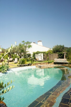 A swimming pool with a stone border, surrounded by greenery and a white building in the background.