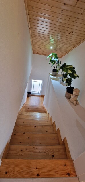 Eine Holztreppe mit Blick auf ein Fenster oben.