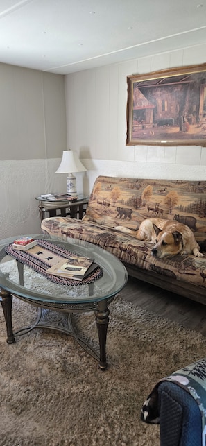 Un salon avec une table basse en verre, un canapé, un tableau accroché au mur et un chien allongé sur le canapé.