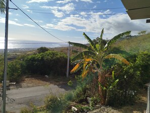 A view of a road with a banana tree and dense vegetation. - A Saint Leu Maison créole bien équipée avec jacuzzi et vue imprenable sur la mer (Saint-Leu)