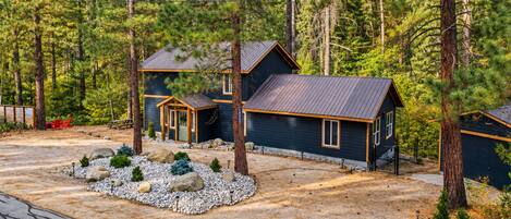 A cabin with a gravel driveway, surrounded by pine trees.