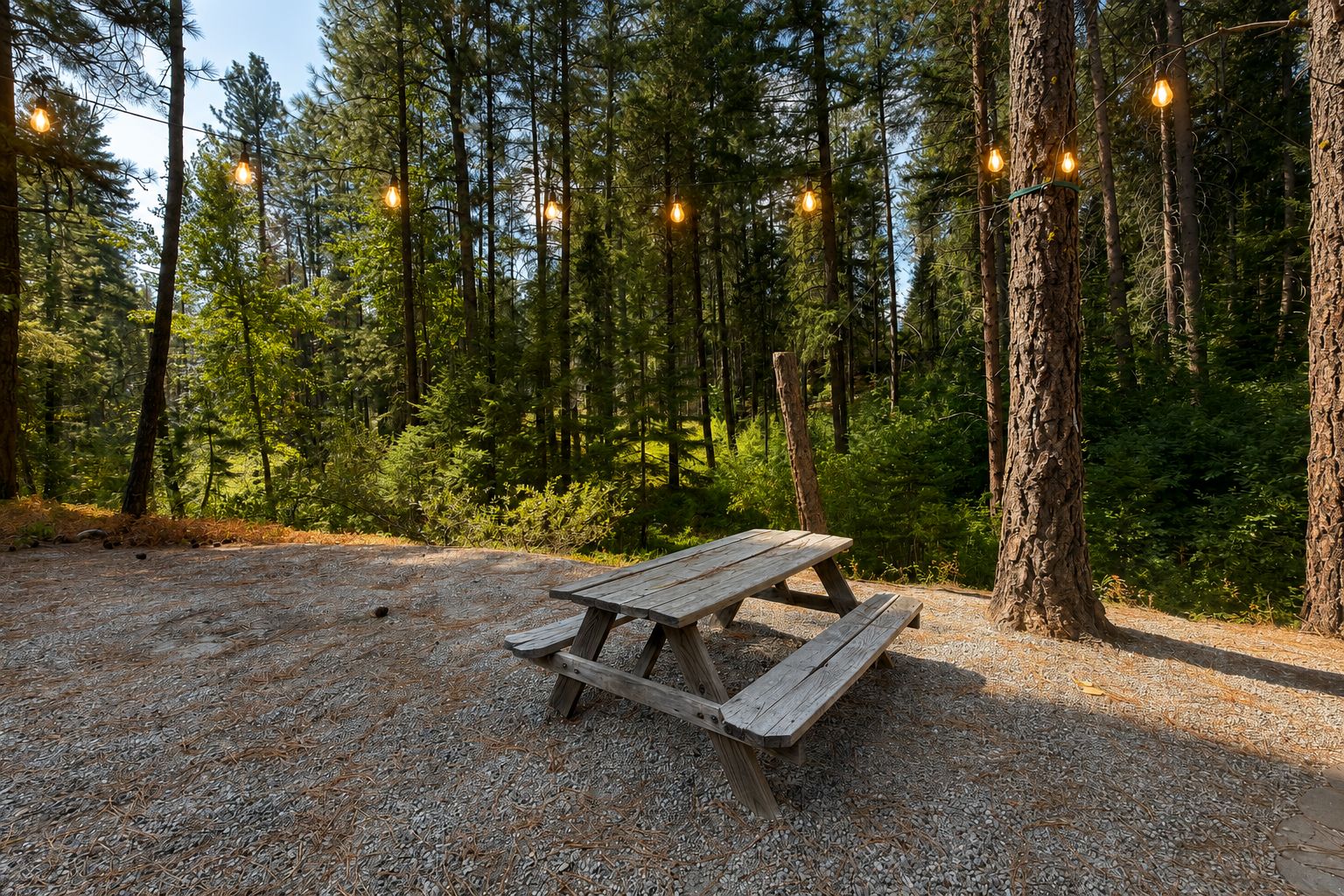 A wooden picnic table in a forest with string lights above.
