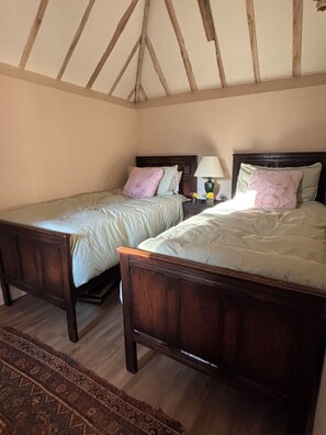 Two wooden beds with headboards, a nightstand with a lamp, and a patterned rug on the floor.